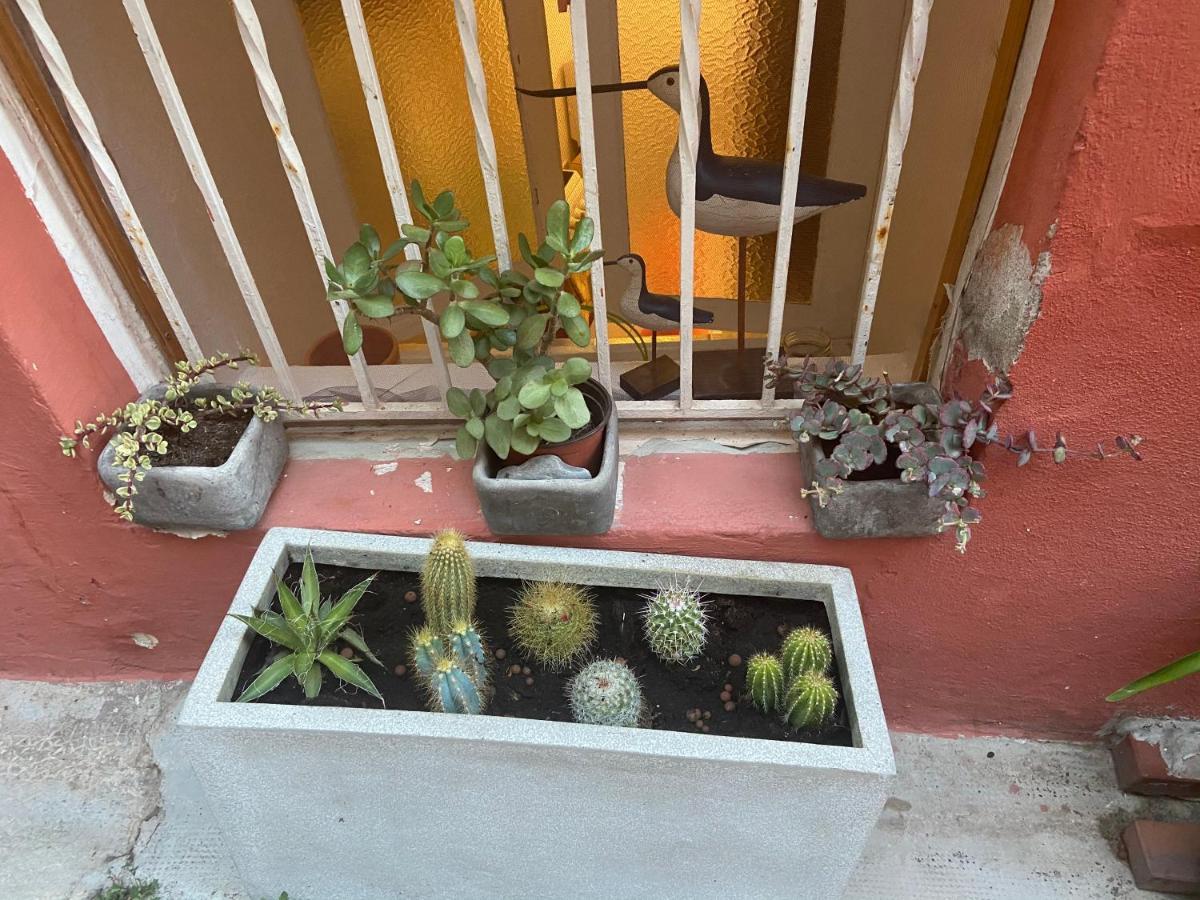 Joli Appart 29M2 En Vieille Ville Menton 2 Mins De La Mer Eksteriør billede